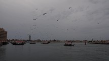 Large flock of birds, seagulls flying in cinematic slow motion over old Dubai river.