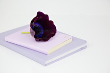 flower on purple journals 