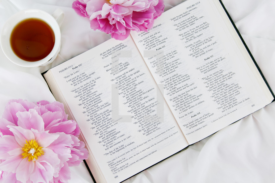 tea cup, pink flowers and an open Bible 