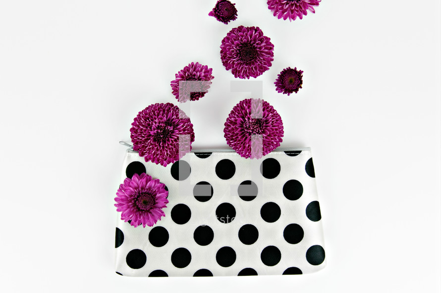 pouch and purple mums 
