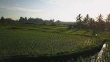 Ubud Bali Indo 