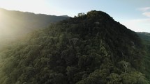  Jungle Mountain Sunrise Costa Rica Trees