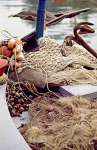 anchor and fishing nets in a fishing boat with a catch of seashells