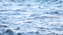 choppy water along a shore 