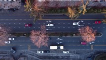 Bus lanes and traffic infrastructure aerial