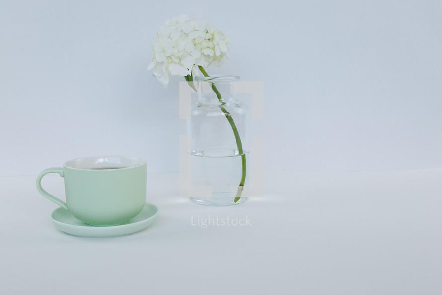 tea cup and flowers in a vase 