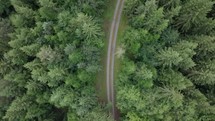 Drone slowly turns following a forest path from a top-down perspective