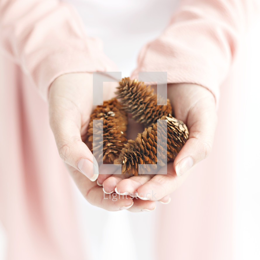 pine cones in cupped hands 