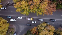 Traffic and autumn leaves
