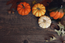 Fall Thanksgiving Holiday Season Background with Pumpkins, Leaves and Acorn Squash Over Wood