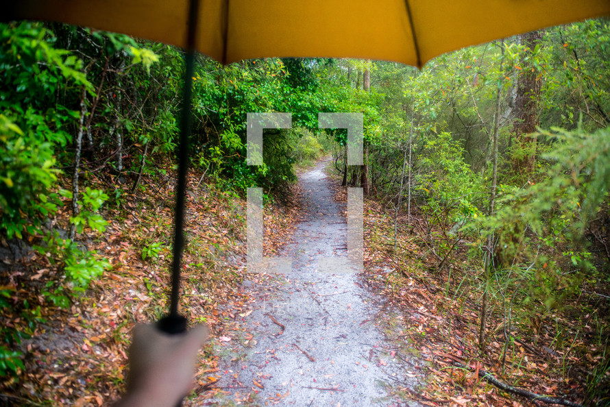 walking under an umbrella on a trail 