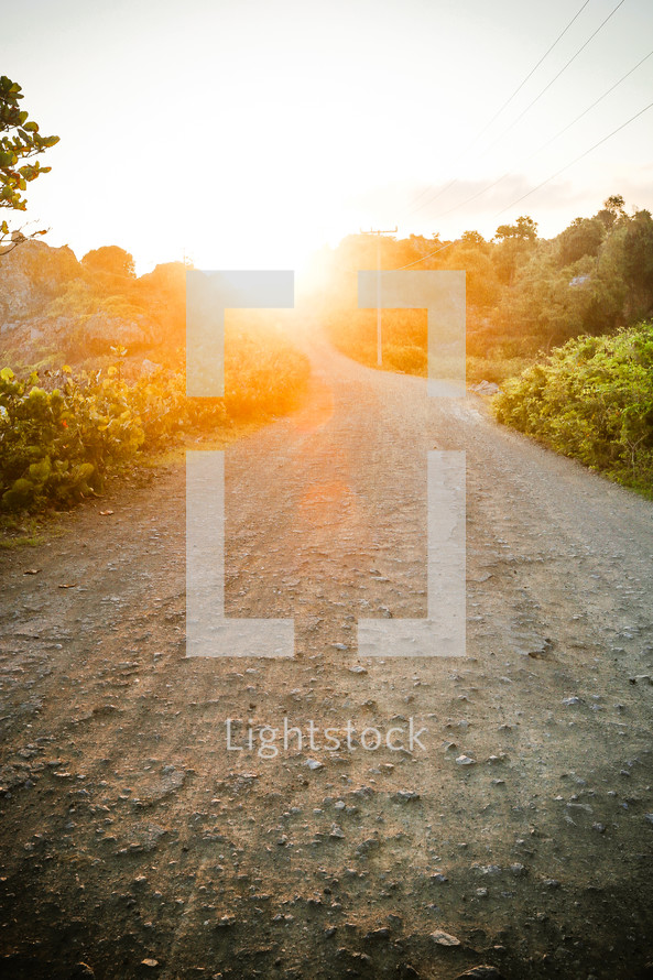 Dirt road with trees and bushes lining it, a sunrise in the distance