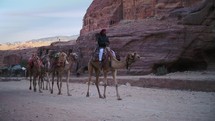 Camel Rider Passing In The Valleys Of Petra