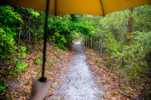 holding an umbrella and path through a forest 