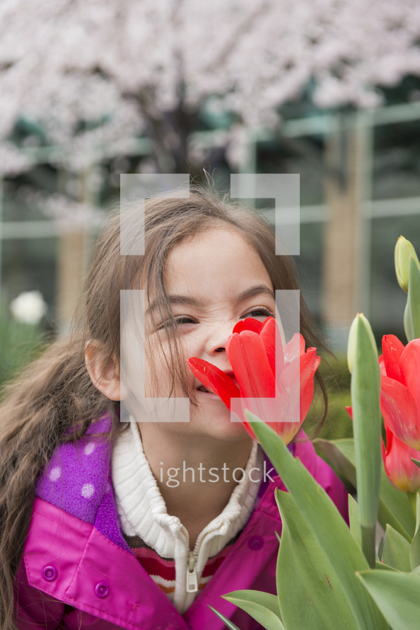 Little Girl Sniffing Spring Tulips