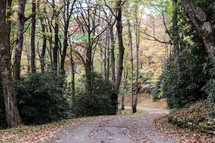 rural road in fall 