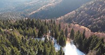 Aerial, tilt down, drone shot, of a car on a winding, hillside road, in Romanian forest, on a mountain, on a sunny, fall day, in Sinaia, Romania