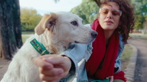 Young woman sitting on bench with cute mixed-breed dog, petting him and playing during day in the park
