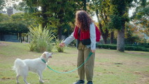 Curly-haired girl playing tug-of-war with dog and her friend throwing a ball for excited pet on a green lawn in the park
