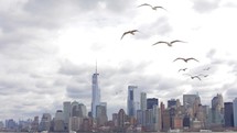 Manhattan Urban Cityscape, Seagulls and Bay New York City. View From the Boat. United States of America
