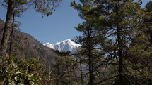 View of Himalaya Mountain peaks in distance through trees