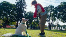 Cute dog giving a paw to female owner, getting a treat, then running for a ball and playing fetch on green lawn outdoors during sunny day in the park
