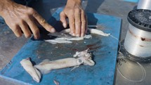 Fisherman Preparing And Cutting Squid On A Boat Trip
