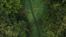Aerial drone footage over green trees with path