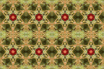 Christmas kaleidoscope design creating many golden stars with red, gold and green