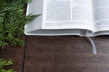 open Bible with greenery 
