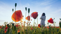 Christ meditating in a field of vibrant red poppy flowers at sunset. Side view
