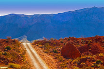 dirt road through Nevada desert 