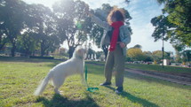 Active cream-colored dog jumping and catching rope toy when playing with female owner outdoors in the park, having fun during a walk on sunny day. Shaky camera, full shot
