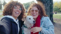 Two young joyous women sitting with cute dog in the park, looking at camera, smiling and talking on online video call. POV shot
