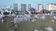 Winter Trees And Apartment Buildings In City Of Galati In Romania On Sunny Day. aerial shot	