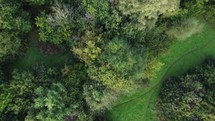 Aerial drone footage over green trees and path