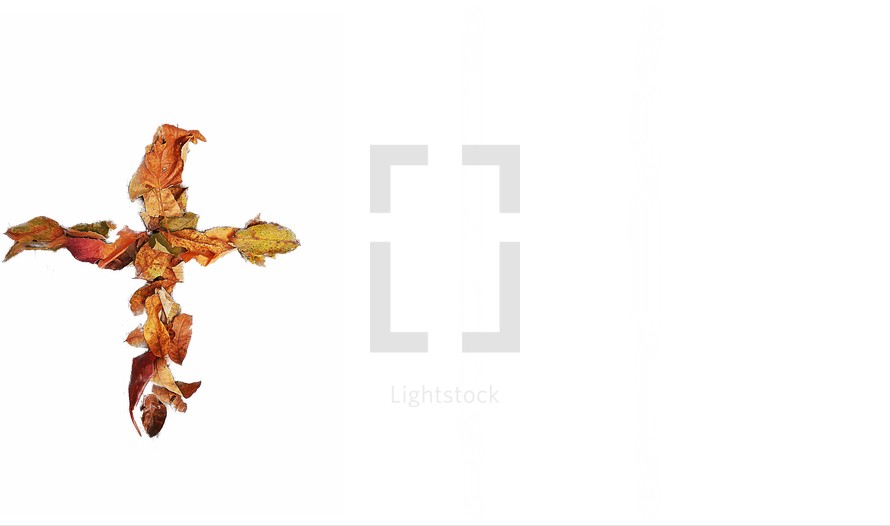 A cross made out of leaves 4 with negative space