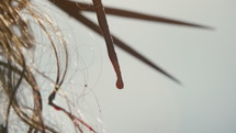 Dripping blood of Christ on a crown of thorns. Slow motion footage
