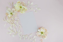 blank paper and flower petals 