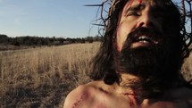 Jesus's face in agony at crucifixion 