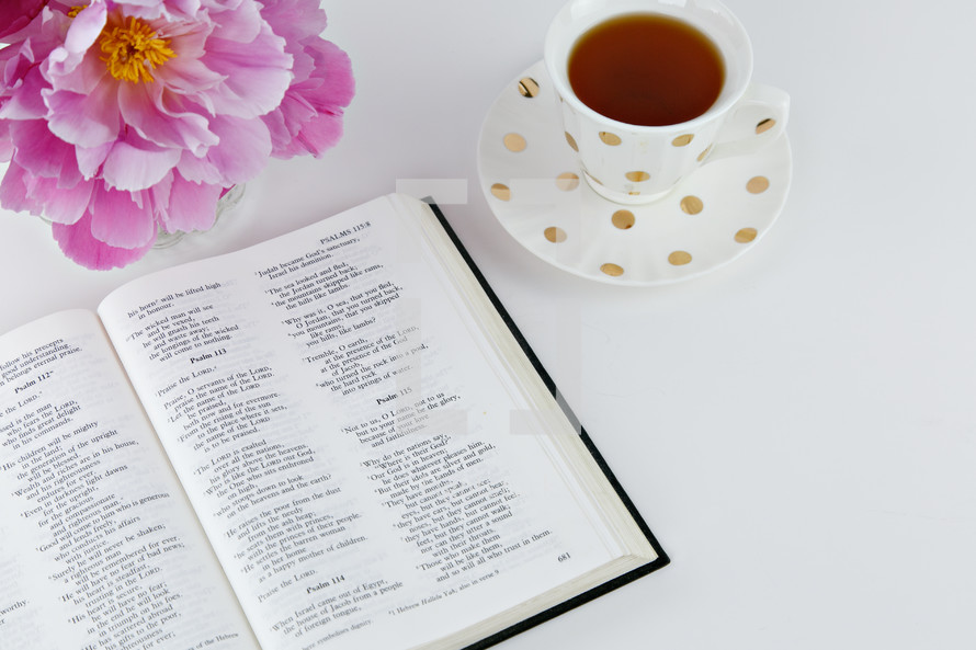 open Bible, tea cup, and pink flowers 
