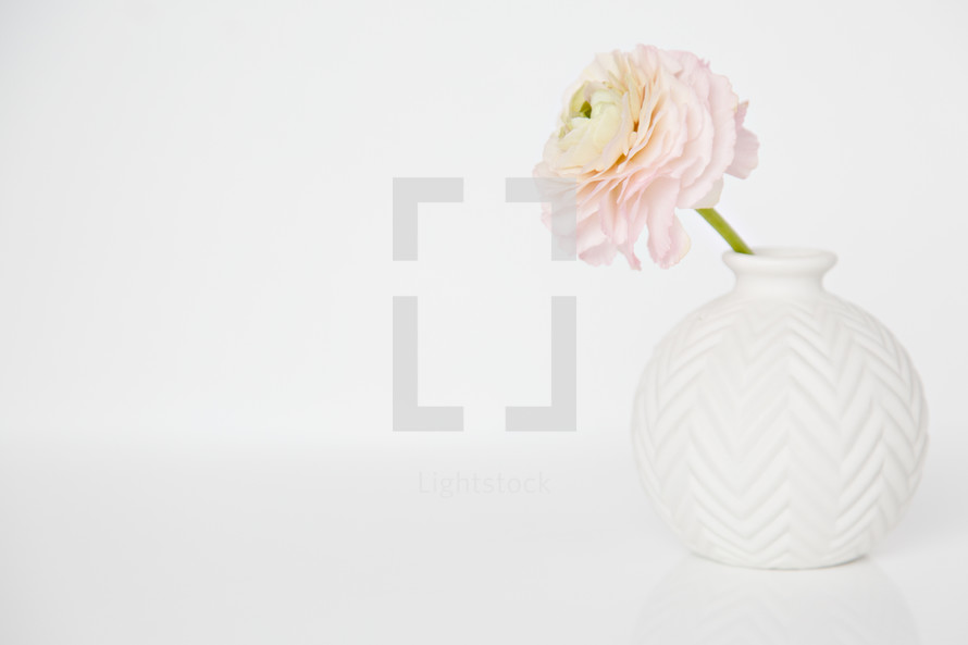 vase and single pink flower 