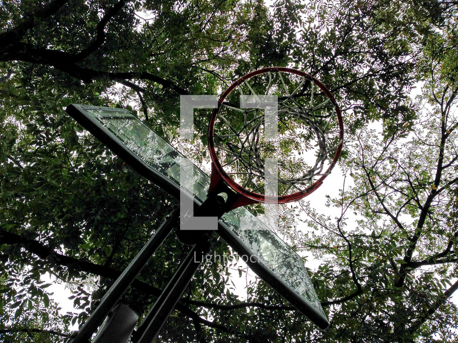 looking up at a basketball hoop on a gloomy day