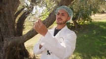 Agronomist examining an olive tree with magnifying lens