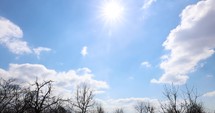 Fluffy White Clouds And Blue Sky On A Sunny Day. low angle, time lapse