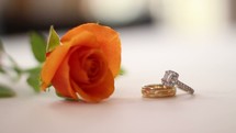 An orange rose being placed next to wedding rings.