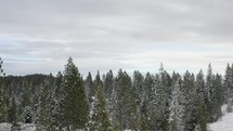 Drone footage of snow covered forest