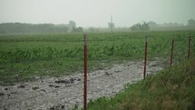 Flooding in field from heavy, dramatic, slow motion rain falling on green, summer or spring grass on rural America farmland. Rain waters crops and grass after drought in farming community.
