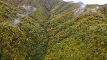 Mountain valley and yellow forest in autumn