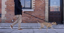 Man walks dog down city street in winter - side profile